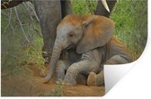 Muurstickers - Sticker Folie - Olifant - Dieren - Zand - Natuur - 60x40 cm - Plakfolie - Muurstickers Kinderkamer - Zelfklevend Behang - Zelfklevend behangpapier - Stickerfolie