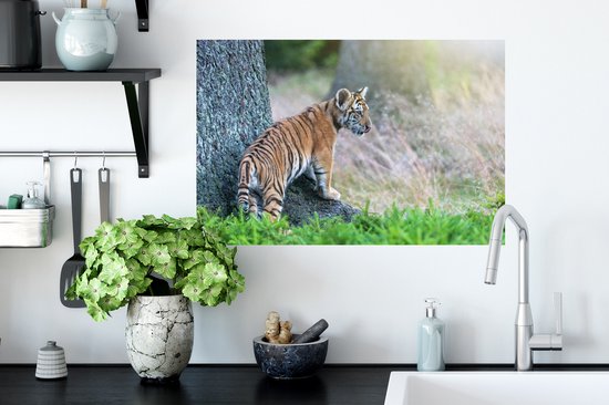 Stickers muraux - Film adhésif - Tigre dans la forêt - 60 x 40 cm - Film adhésif - Stickers muraux chambre d'enfant - Papier peint autocollant - Film adhésif