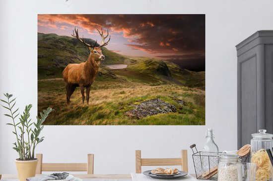 Stickers muraux - Film autocollant - Cerf - Berg - Nature - 120x80 cm - Film adhésif - Stickers muraux Chambre d'enfant - Papier peint autocollant - Papier peint autocollant - Film autocollant