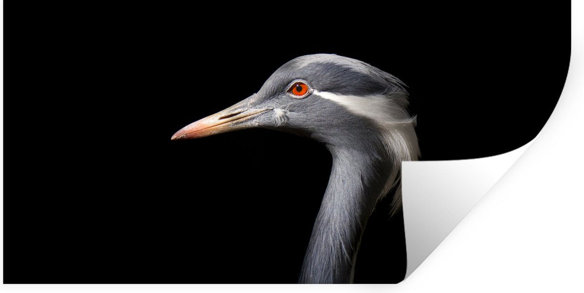 Muurstickers - Sticker Folie - Vogel - Dieren - Portret - 80x40 cm - Plakfolie - Muurstick