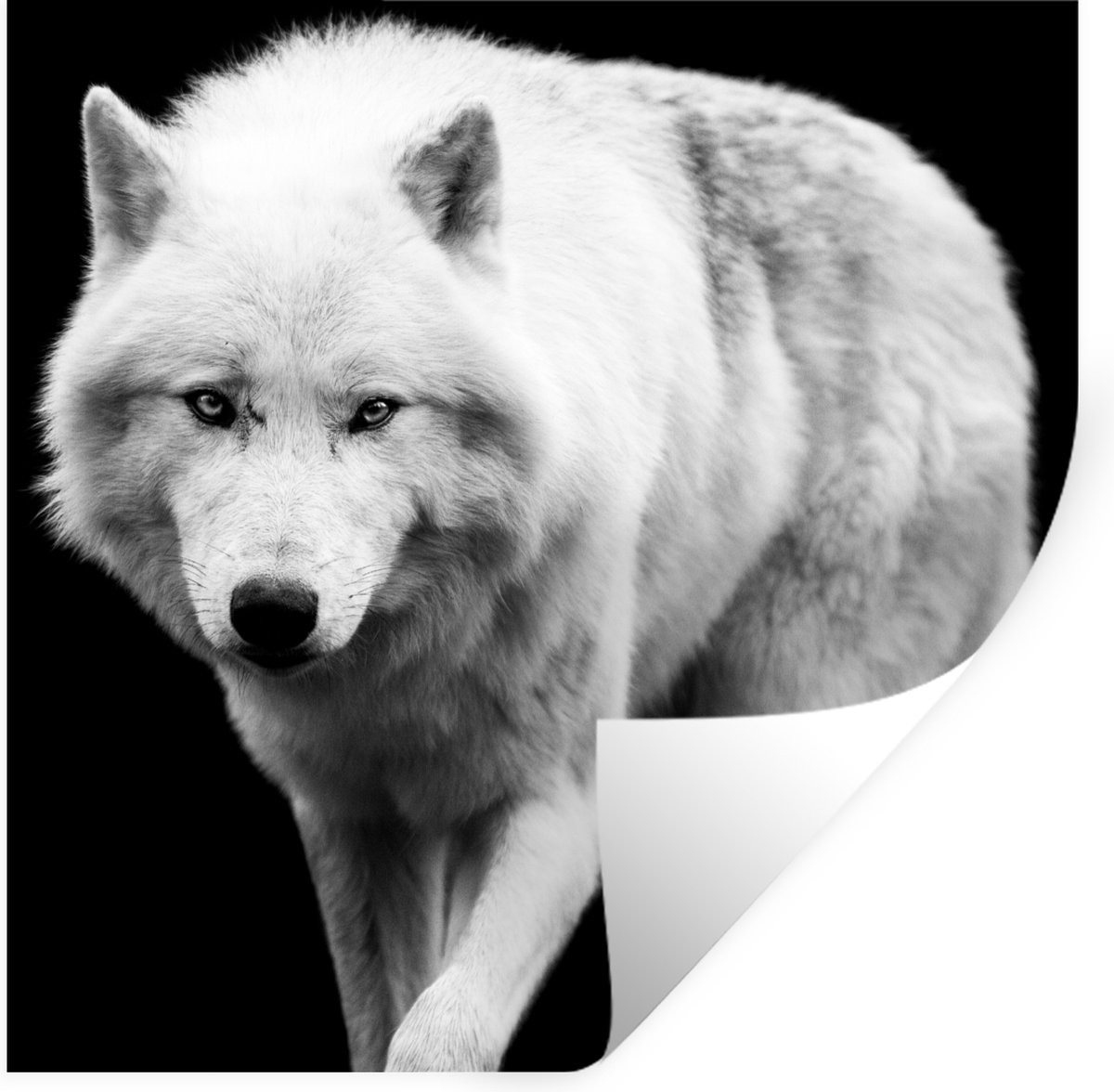Muurstickers - Sticker Folie - Wolf - Dier - Zwart - Wit - 120x120 cm - Plakfolie - Muurst