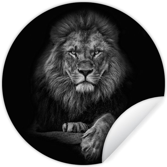 Papier peint cercle - Papier peint autocollant - Animaux sauvages - Lion - Zwart - Wit - 30x30 cm - Papier peint autocollant - Papier peint cercle - Papier peint rond - Chambre à coucher