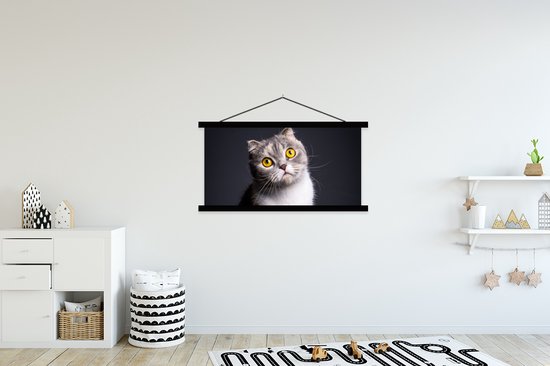 Porte-affiche avec affiche - Affiche scolaire - Chat - Yeux - Lumière - 150x75 cm - Lattes noires