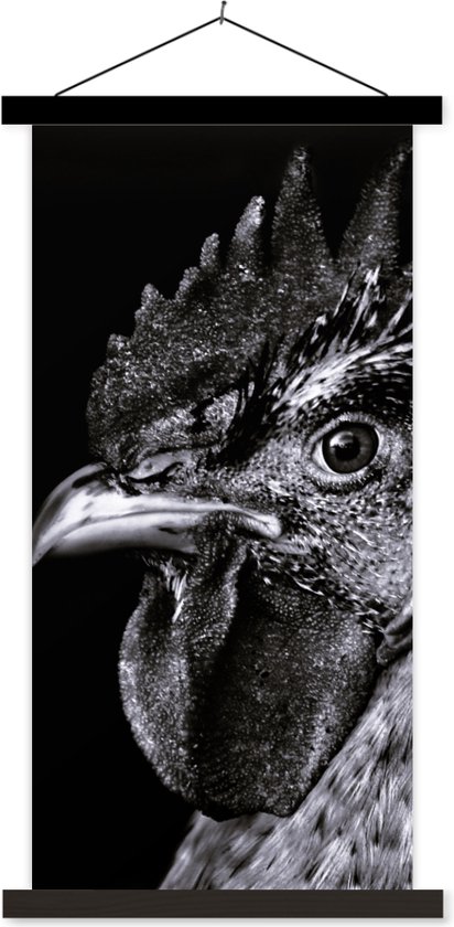 Porte-affiche avec affiche - Affiche scolaire - Coq - Vogel - Zwart - Wit - 90x180 cm - Lattes noires