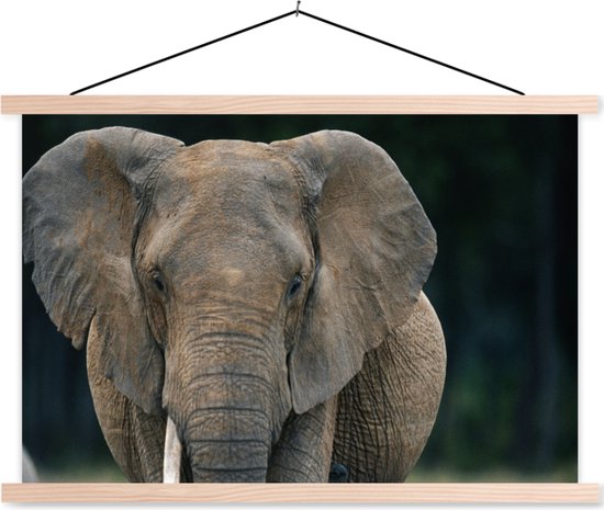 Support pour affiche avec affiche 120x80 cm - Affiche scolaire - Éléphant - Animaux - Uni - Nature - Affiche textile - Lattes vierges