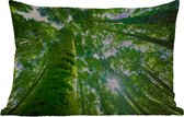 Buitenkussens - Tuin - Tropische jungle in Azie - 60x40 cm