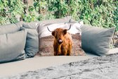 Buitenkussens - Tuin - Schotse hooglander - Landschap - Koe - Bruin - Dieren - Natuur - 50x30 cm