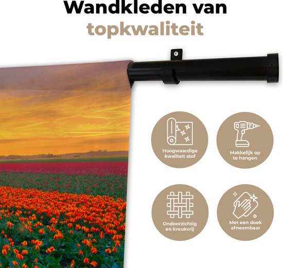 Tapisserie murale Paysages Pays- Nederland - Champs de tulipes en Holland méridionale Tapisserie murale coton 90x60 cm - Tapisserie murale avec photo