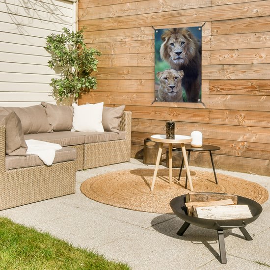 Poster Jardin Lion et Lionne 40x60 cm - petit - Toile de jardin / Toile d'extérieur / Peintures d'extérieur (décoration de jardin)