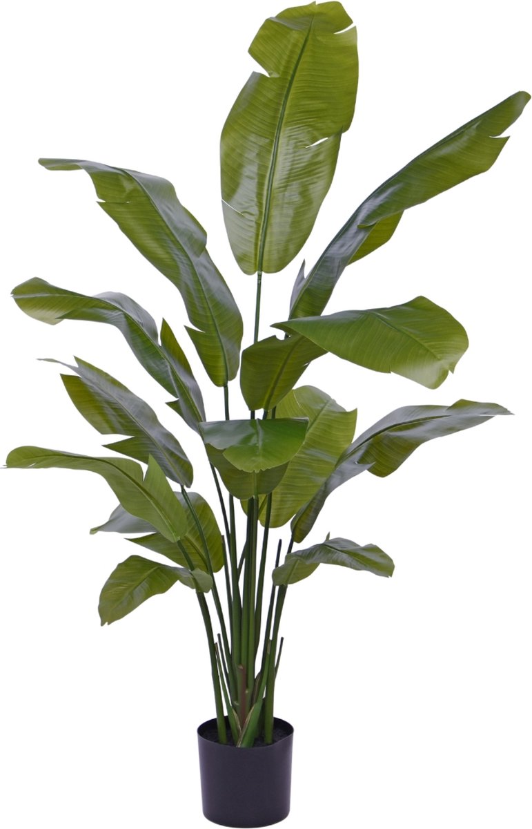 maxifleur Kunstplanten Traveller Palm promo 160cm Groen