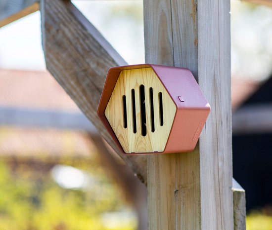 Capi Europe - Vlinderhuisje Hive - 19x23x20 - Antraciet - Capi ...