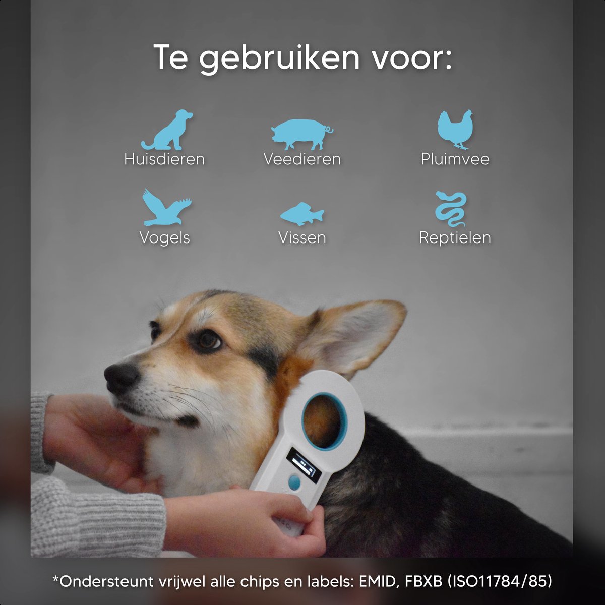Gbformat Haustier Mikrochip Scanner OLED Chiplesegerät für Hunde