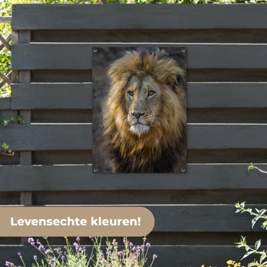 Poster Jardin Roi Lion 40x60 cm - petit - Toile de jardin / Toile d'extérieur / Peintures d'extérieur (décoration de jardin)