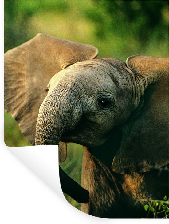 schleich WILD LIFE Afrikaanse olifant vrouwtje 14761
