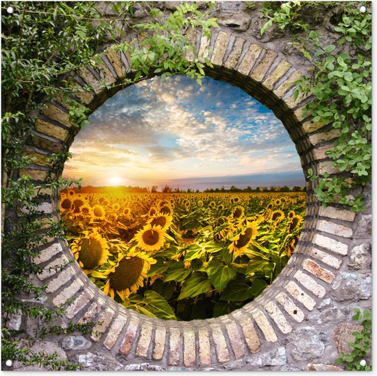 Tuinposter doorkijk - Bloemen - Zonnebloem - Natuur - Zonsondergang - Wolken - Ronde doorkijk - Tuin - Tuinschilderij voor buiten - Schutting decoratie - Schutting doek - 100x100 cm - Tuindecoratie - Tuindoek