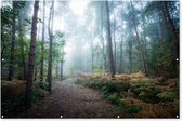 Un chemin brumeux à travers la forêt Affiche de jardin 200x100 cm - Toile de jardin / Toile d'extérieur / Peintures d'extérieur (décoration de jardin) XXL / Groot format!