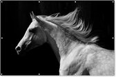 Muurdecoratie Paarden - Dieren - Portret - 180x120 cm - Tuinposter - Tuindoek - Buitenposter
