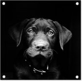 Tuinposters Hond - Licht - Zwart - 50x50 cm - Tuindoek - Buitenposter