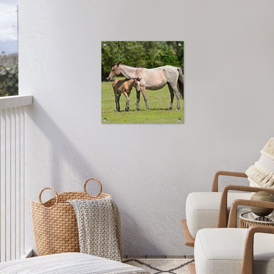 Posters de jardin Paarden - Herbe - Ombre - 50x50 cm - Toile de jardin - Affiche extérieure