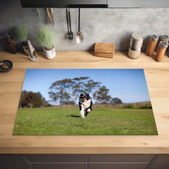 KitchenYeah® Inductie beschermer 81x52 cm - Een border collie met een stok in de mond - Kookplaataccessoires - Afdekplaat voor kookplaat - Inductiebeschermer - Inductiemat - Inductieplaat mat