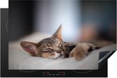 KitchenYeah® Inductie beschermer 81x52 cm - Katten - Slapen - Abessijn - Huisdieren - Kookplaataccessoires - Afdekplaat voor kookplaat - Inductiebeschermer - Inductiemat - Inductieplaat mat