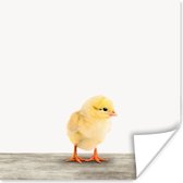 Poster kinderen - Kuiken - Dieren - Jongens - Meisjes - Kinderen - Wanddecoratie - Kinderkamer decoratie - 50x50 cm - Poster slaapkamer - Schilderij voor kinderen