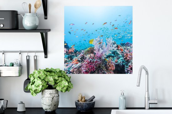 Poster Récif coloré et corail - 50x50 cm