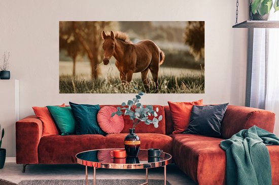 Affiche Cheval - Lumière - Prairie - 160x80 cm