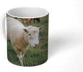 Mok - Koffiemok - Schaap - Dier - Gras - Mokken - 350 ML - Beker - Koffiemokken - Theemok