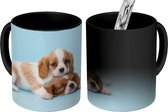 Magische Mok - Foto op Warmte Mok - Twee slaperige pups - 350 ML