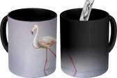 Magische Mok - Foto op Warmte Mokken - Koffiemok - Flamingo - Water - Roze - Magic Mok - Beker - 350 ML - Theemok