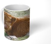 Mok - Schotse Hooglander - Gras - Bruin - 350 ML - Beker