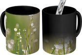 Magische Mok - Foto op Warmte Mok - Vroege dauw op grassprieten - 350 ML