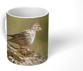 Mok - Rotsmus op een steen - 350 ML - Beker