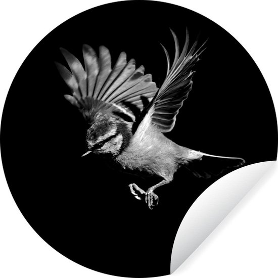 WallCircle - Muurstickers - Behangcirkel - Pimpelmees - Vogel - Zwart - zwart wit - ⌀ 140 cm - Muurcirkel - Zelfklevend - Ronde Behangsticker