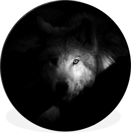 WallCircle - Wandcirkel - Muurcirkel - Portret van een arctische wolf - zwart wit - Aluminium - Dibond - ⌀ 120 cm - Binnen en Buiten XXL