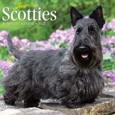 Schotse Terrier Kalender 2022