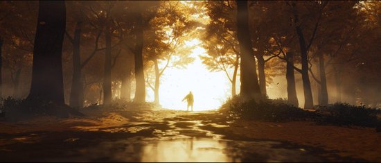 Een man met silhouet loopt door een zonnig bos met gouden herfstbladeren.