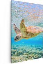 Artaza Canvas Schilderij Schildpad Zwemt in de Zee bij het Rif - 20x30 - Klein - Foto Op Canvas - Canvas Print