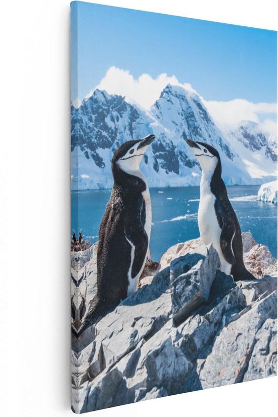 Artaza Canvas Schilderij Twee Pinguïns op Stenen in Antarctica - 20x30 - Klein - Foto Op Canvas - Canvas Print