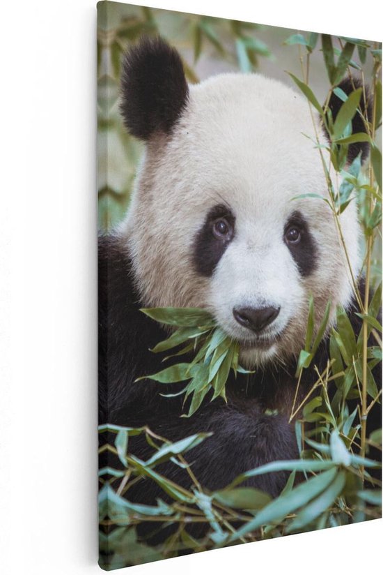 Artaza Canvas Schilderij Panda Eet Planten - 20x30 - Klein - Foto Op Canvas - Canvas Print