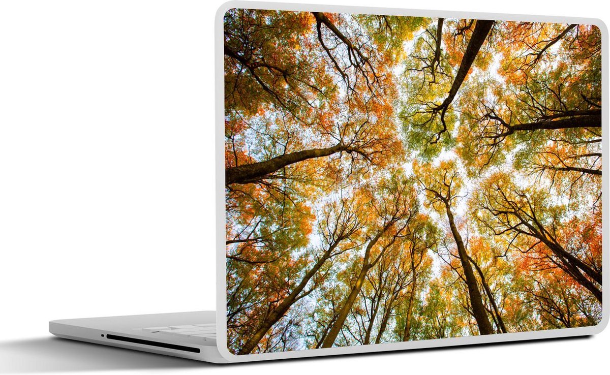 Laptop sticker - 12.3 inch - Bos - Bomen - Herfst - 30x22cm - Laptopstickers - Laptop skin - Cover