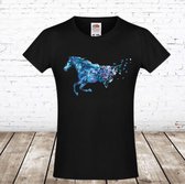 Zwart tshirt met paard -Fruit of the Loom-110/116-t-shirts meisjes