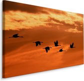 Schilderij - Kraanvogels bij Zonsondergang, Premium Print