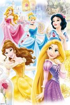Grupo Erik Disney Princess Group  Poster - 61x91,5cm