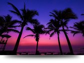 Maison de France - Canvas Palms by night - canvas - 40 x 60 cm