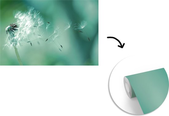 Graines de fotobehang de pissenlit