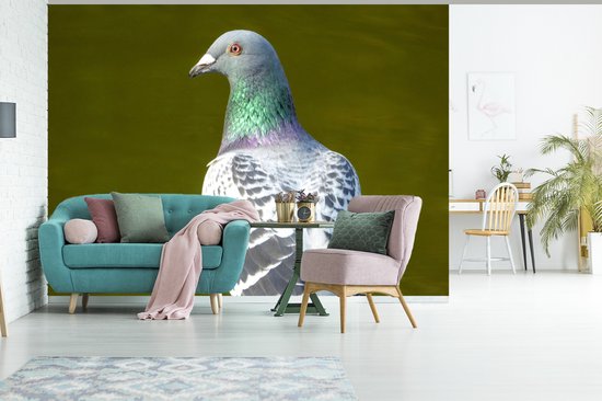 Papier peint photo vinyle - Un portrait d'un pigeon sur l'herbe verte largeur 305 cm x hauteur 220 cm - Tirage photo sur papier peint (disponible en 7 tailles)