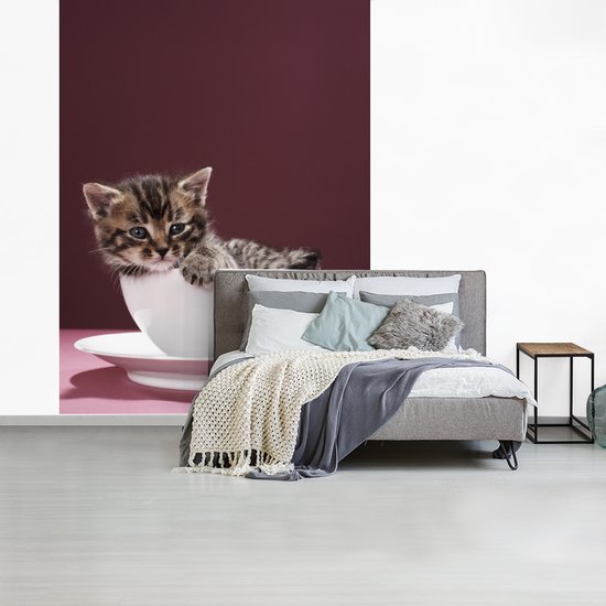 Papier peint photo vinyle - Un chaton dans une tasse avec une soucoupe largeur 190 cm x hauteur 260 cm - Tirage photo sur papier peint (disponible en 7 tailles)