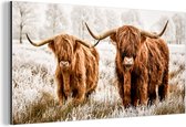 Décoration murale Métal - Peinture Aluminium - Highlander écossais - Animaux - Vache - 80x40 cm - Dibond